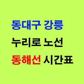 동해선 동대구 강릉행 누리로 노선 상하행 시간표