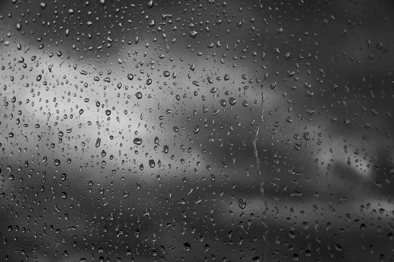 침수차량 보험처리