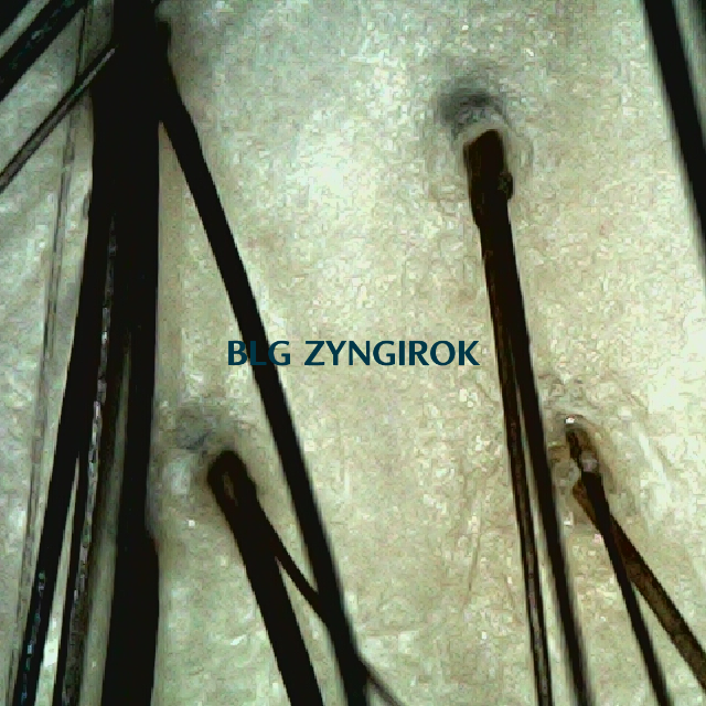 피나모아 복용 15주차 두피 사진 - 정수리 위치 모습이다.