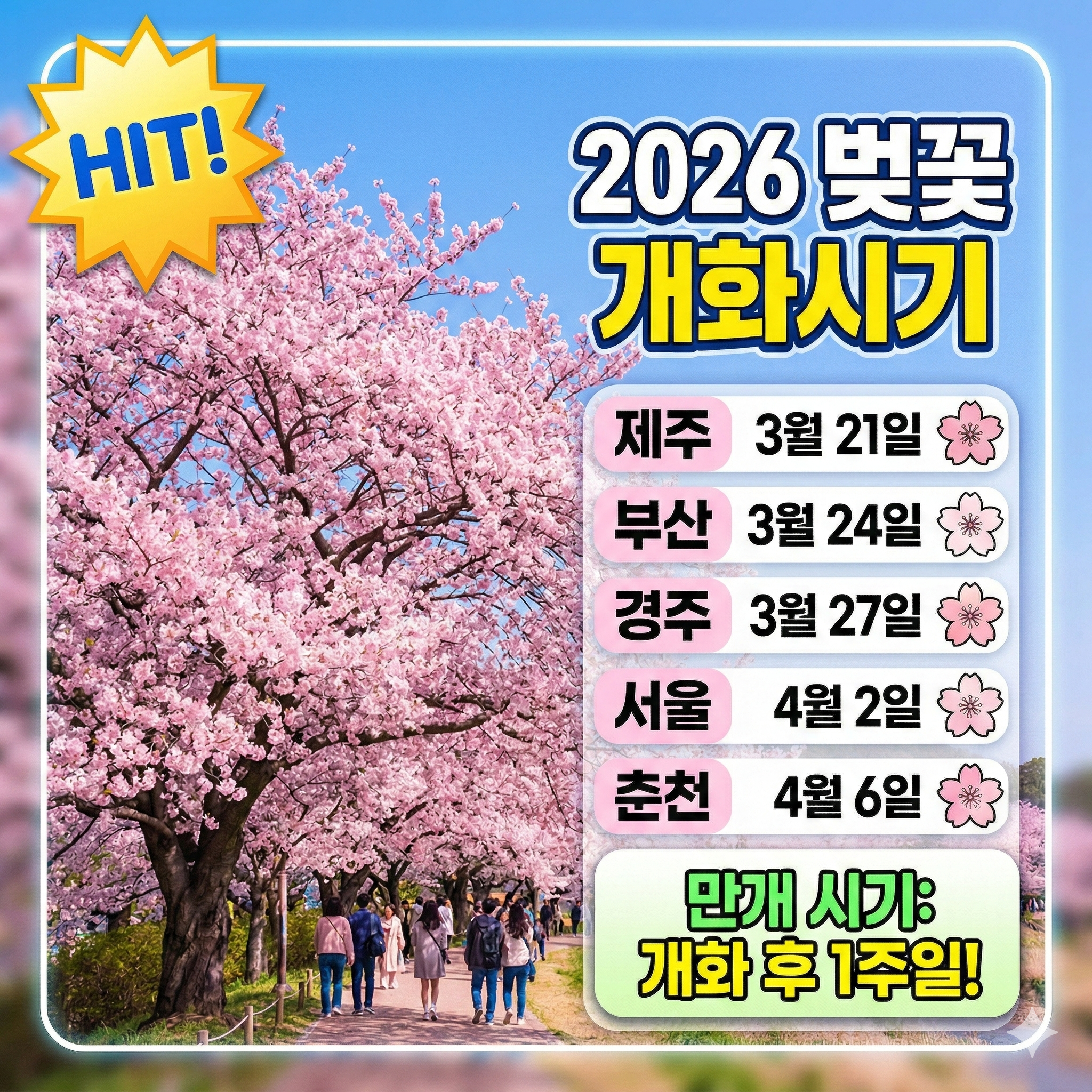 전국 벚꽃 개화시기 및 지역별 명소 총정리: 봄나들이 완벽 가이드