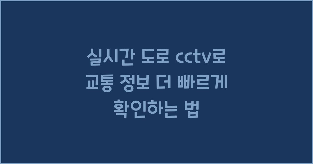실시간 도로 cctv