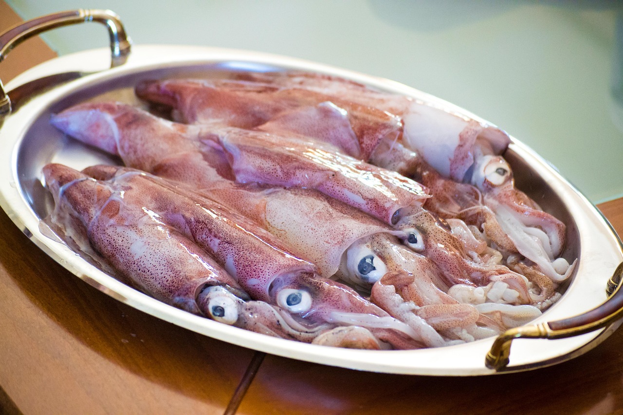 calamari