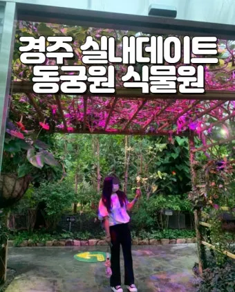 경주 실내 가볼만한곳 베스트 10을 정리_7