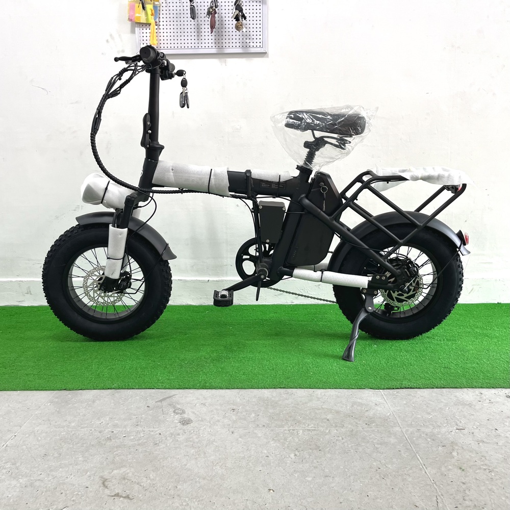 수원 전기자전거 매장 - 레이윙 디스커버리 MX 접이식 전기자전거 추천