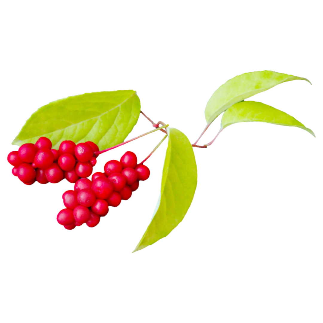 오미자청과 관련된 사진입니다.