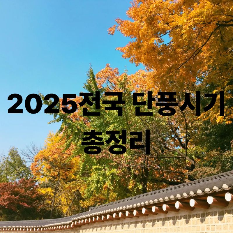 2025년 전국 단풍시기 총정리｜지역별 절정 시기와 명소 추천 관련이미지