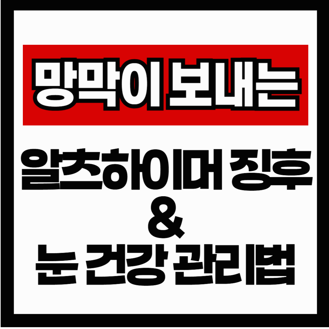 망막이 보내는 뇌 질환 신호? 알츠하이머 초기 징후와 눈 건강 관리법 총정리