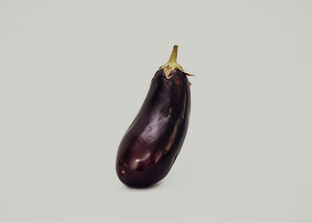 윤기 나는 8월 제철 가지