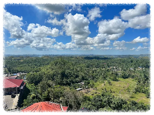 보홀 초콜릿 힐