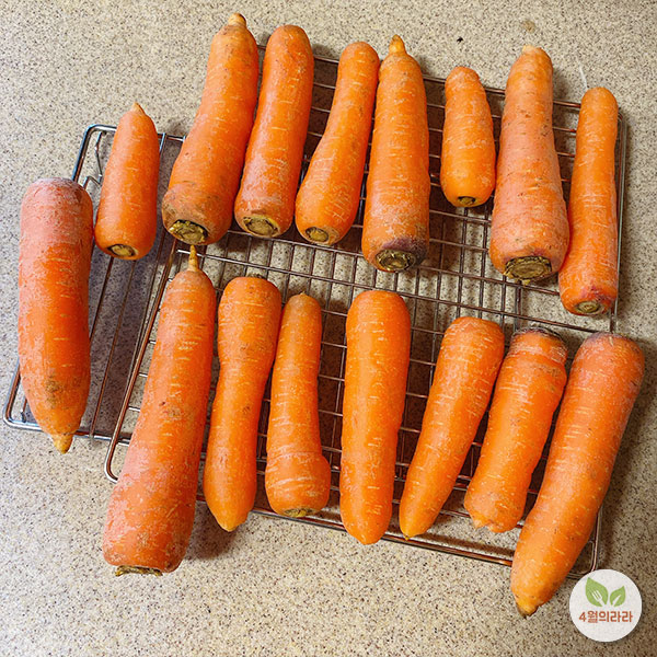 당근을-말리는-모습