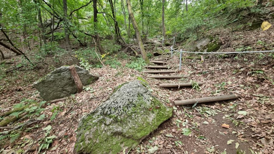 급경사 통나무 계단길, 숲속, 우측에 외줄 안전 로프난간,