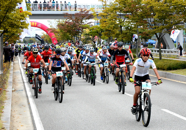 증평 인삼골 축제