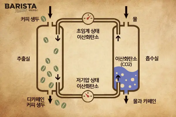 초임계이산화탄소-디카페인-공법