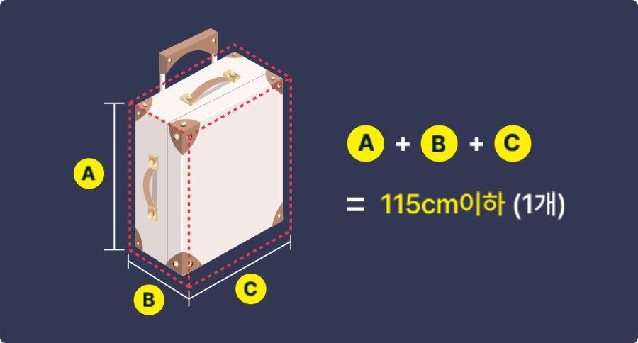 항공기 내 반입 가능 크기