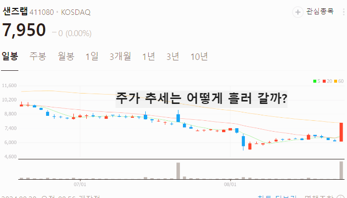 딥페이크 관련주 대장주 TOP10 : 보안