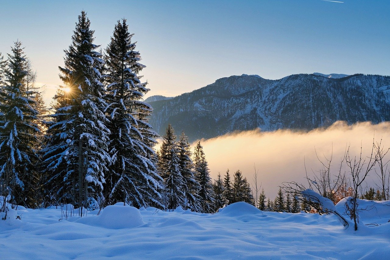 가장 인기 많은 나라의 관련 사진