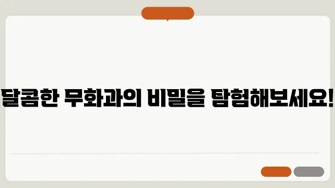 무화과 담금주