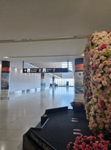 금액 상상이상으로 싼 버젯 렌트카 후기&amp;#44; 4일 렌트 14만원?