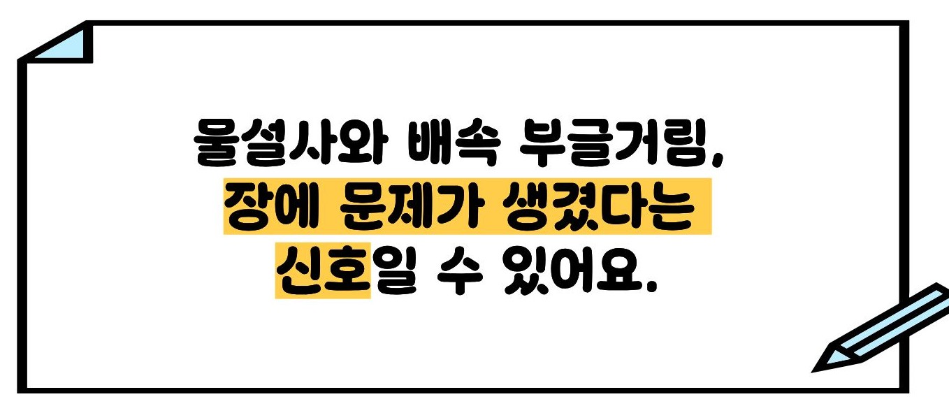 물설사 원인 