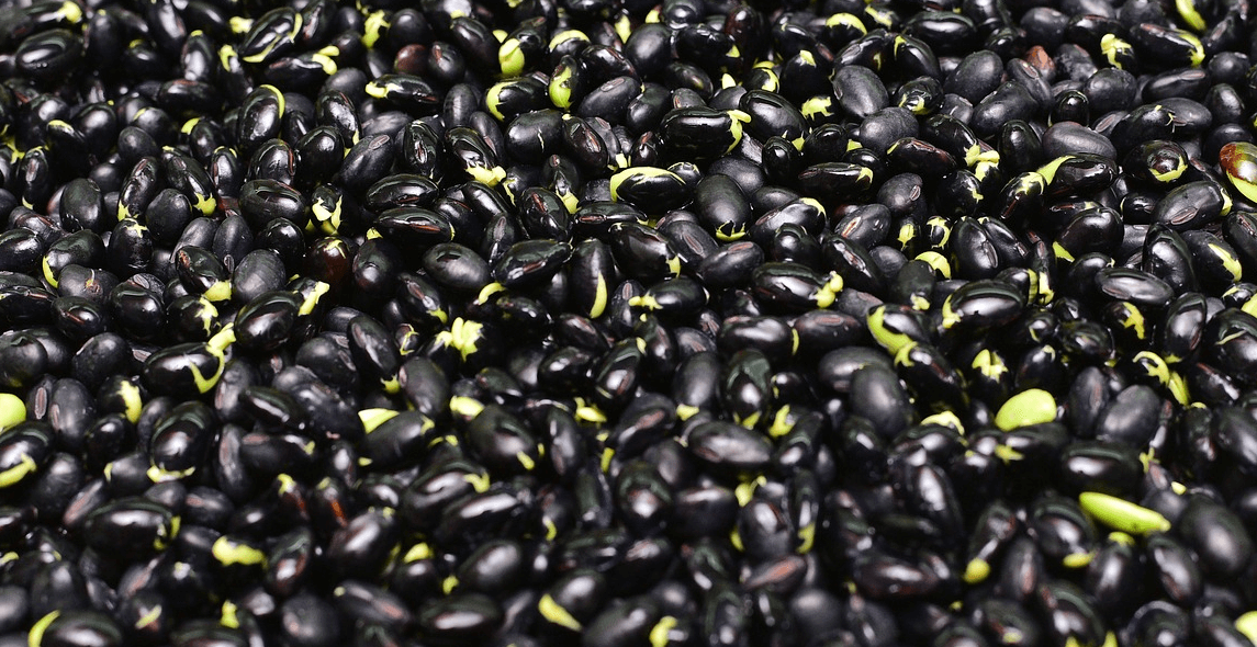 피를 맑게 해주는 음식 사진 - 검은 콩