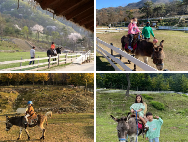 출처-해피초원목장