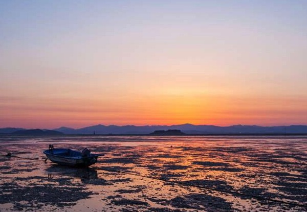 보령 머드축제
