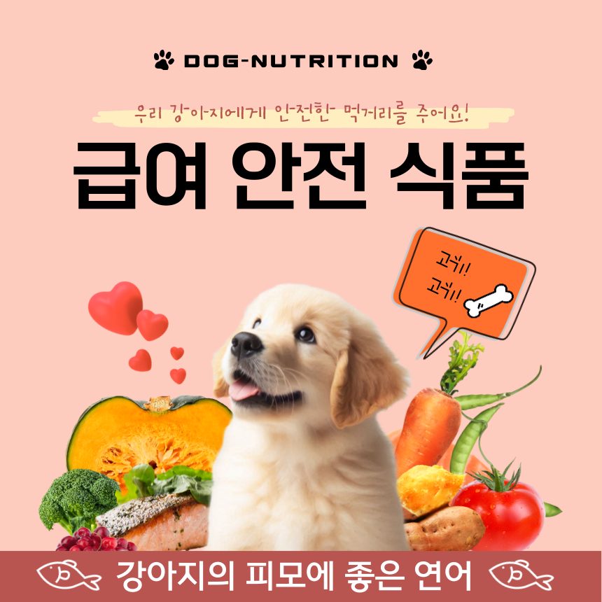 dog nutrition