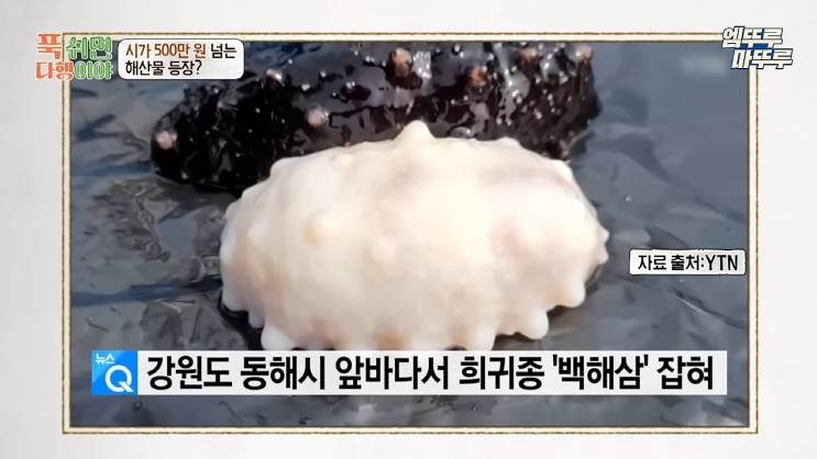 "푹 쉬면 다행이야" 백해삼