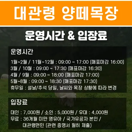 평창 가볼만한곳