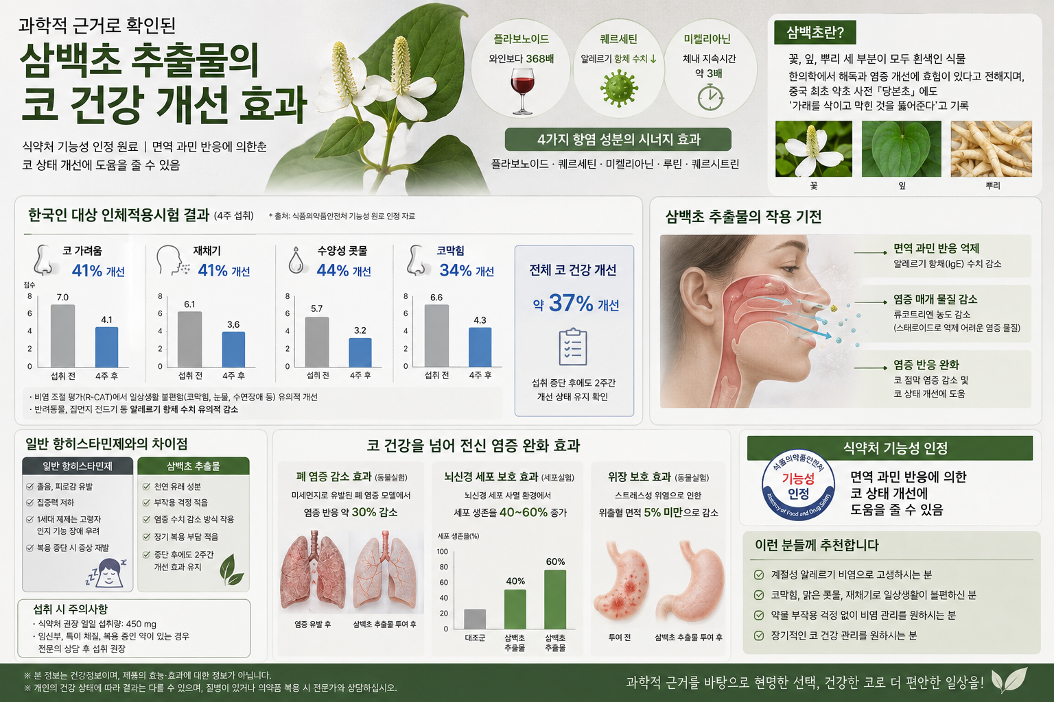 삼백초