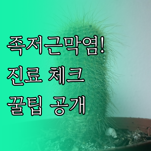 족저근막염 정형외과 진료 체크리스트..