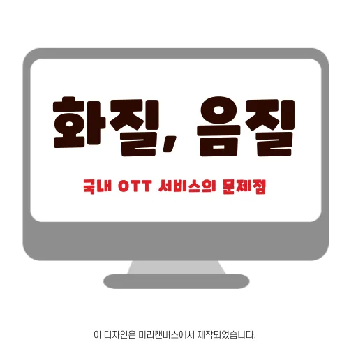 국내 OTT 서비스의 문제점