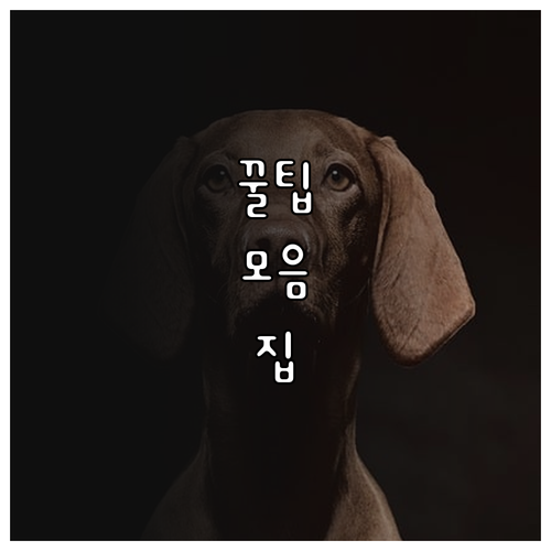 농가·기업 주목! 2025 전통발효식..