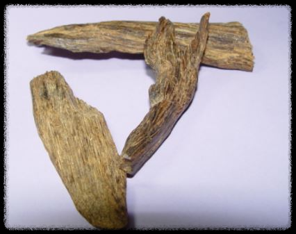 침향 : 침향의 기원, 효능, 부작용과 주의사항