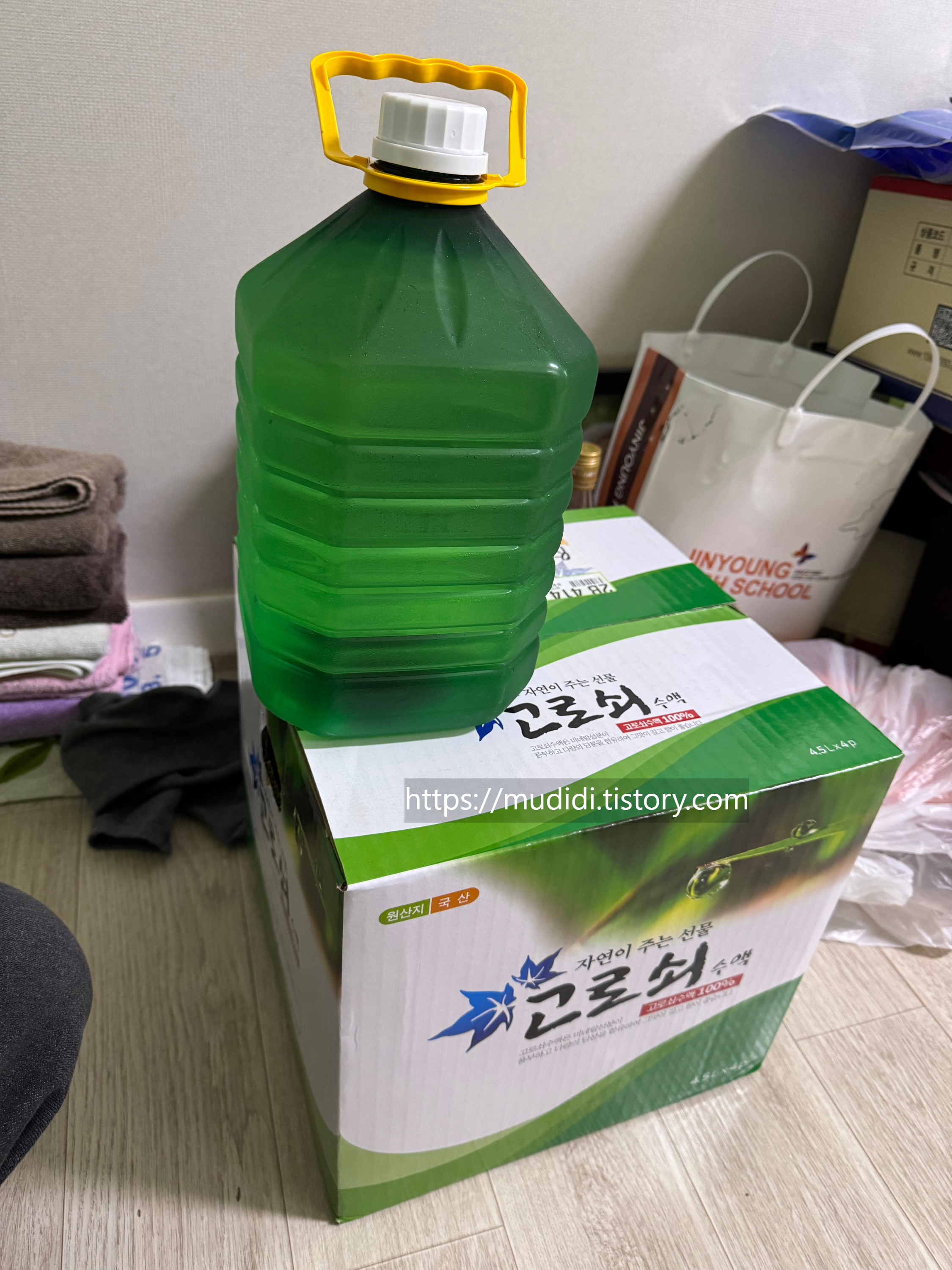 고로쇠수액 효능과 보관법, 직접 마신 솔직 후기