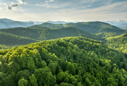 무토일간 남성의 성격, 연애, 직업적 특징