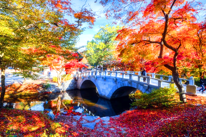 선운사