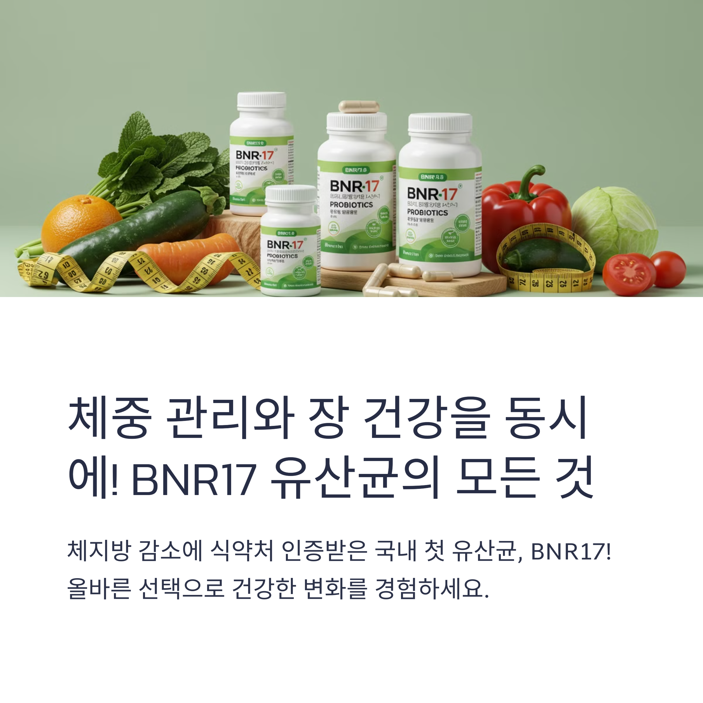 BNR17추천, 현명한 선택
