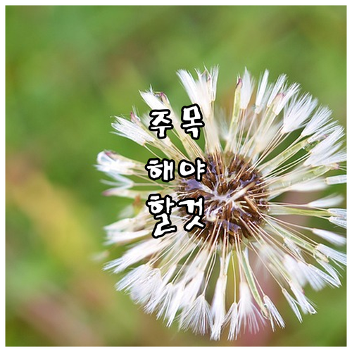 놓치면 후회 2025 과천시 산모 신..