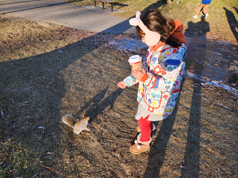 미국다람쥐와 어린이