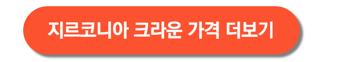 지르코니아-크라운-가격-더보기