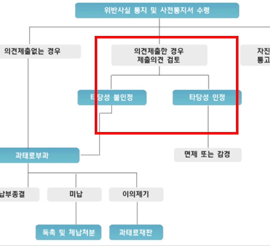 과속 단속 조회 실시간 사이트
