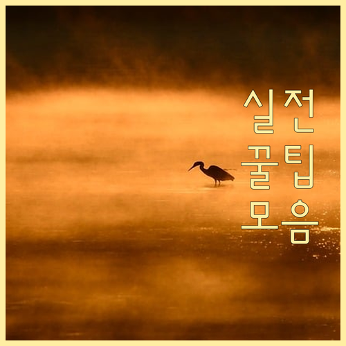 2025 충남 태안 학자금 이자지원 ..