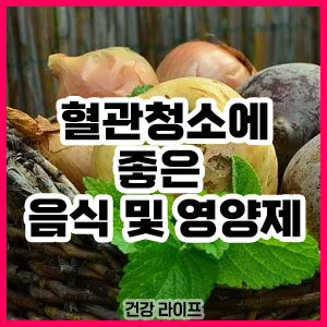 혈관청소에 좋은 음식 및 영양제
