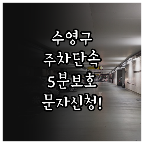 수영구 주정차 단속 문자 서비스 신청..