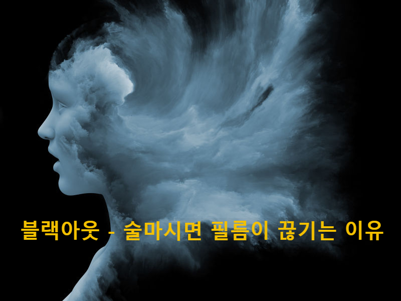 블랙아웃 - 술마시면 필름이 끊기는 이유