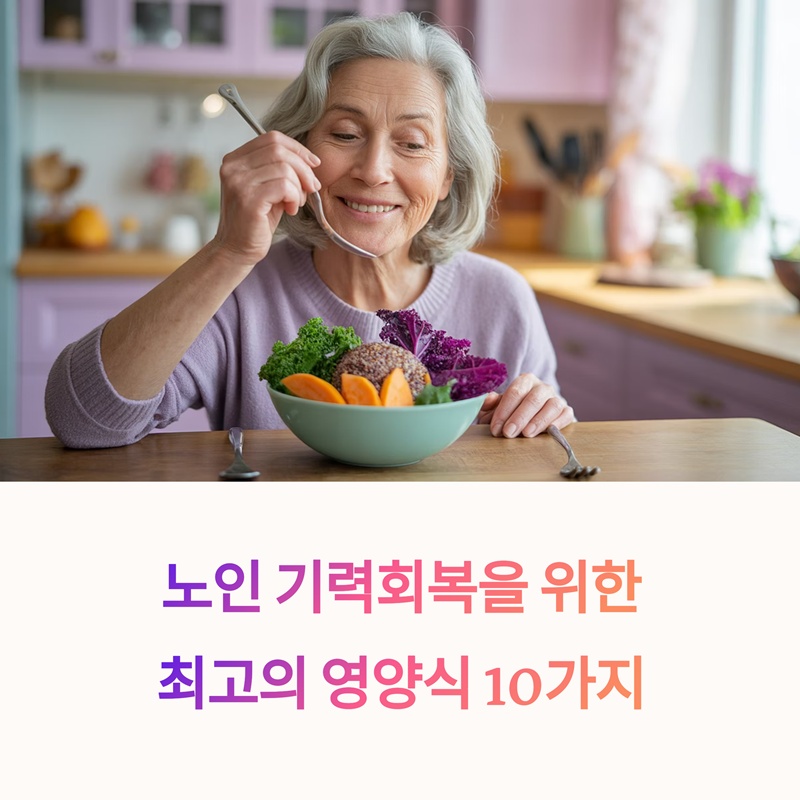 노인 기력회복에 좋은 음식