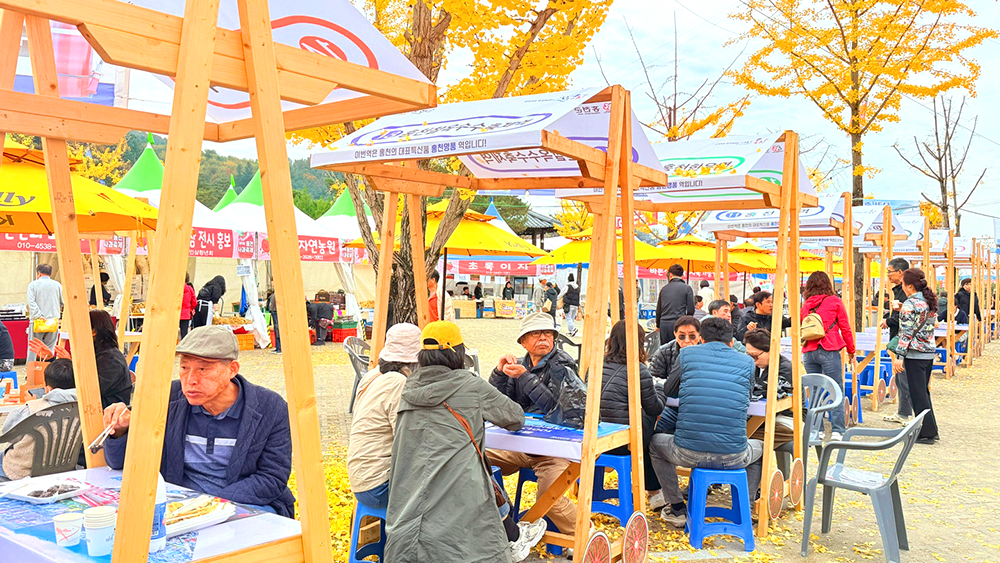 홍천사과축제