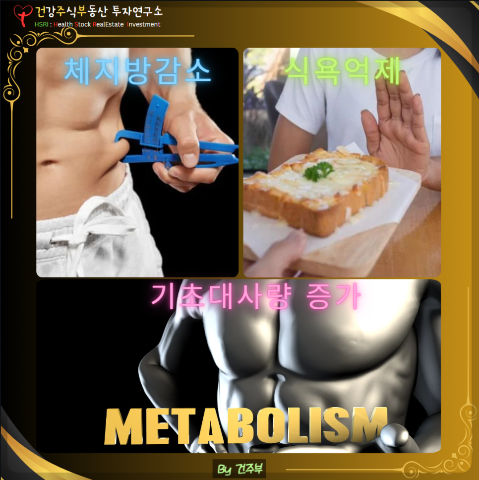 체지방감소, 식욕억제, 기초대사량 증가
(글 그림 : 건주부, 그림 출처 : Canva)