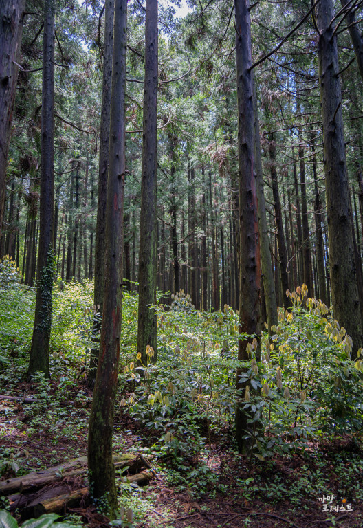 왕이메오름 포토존